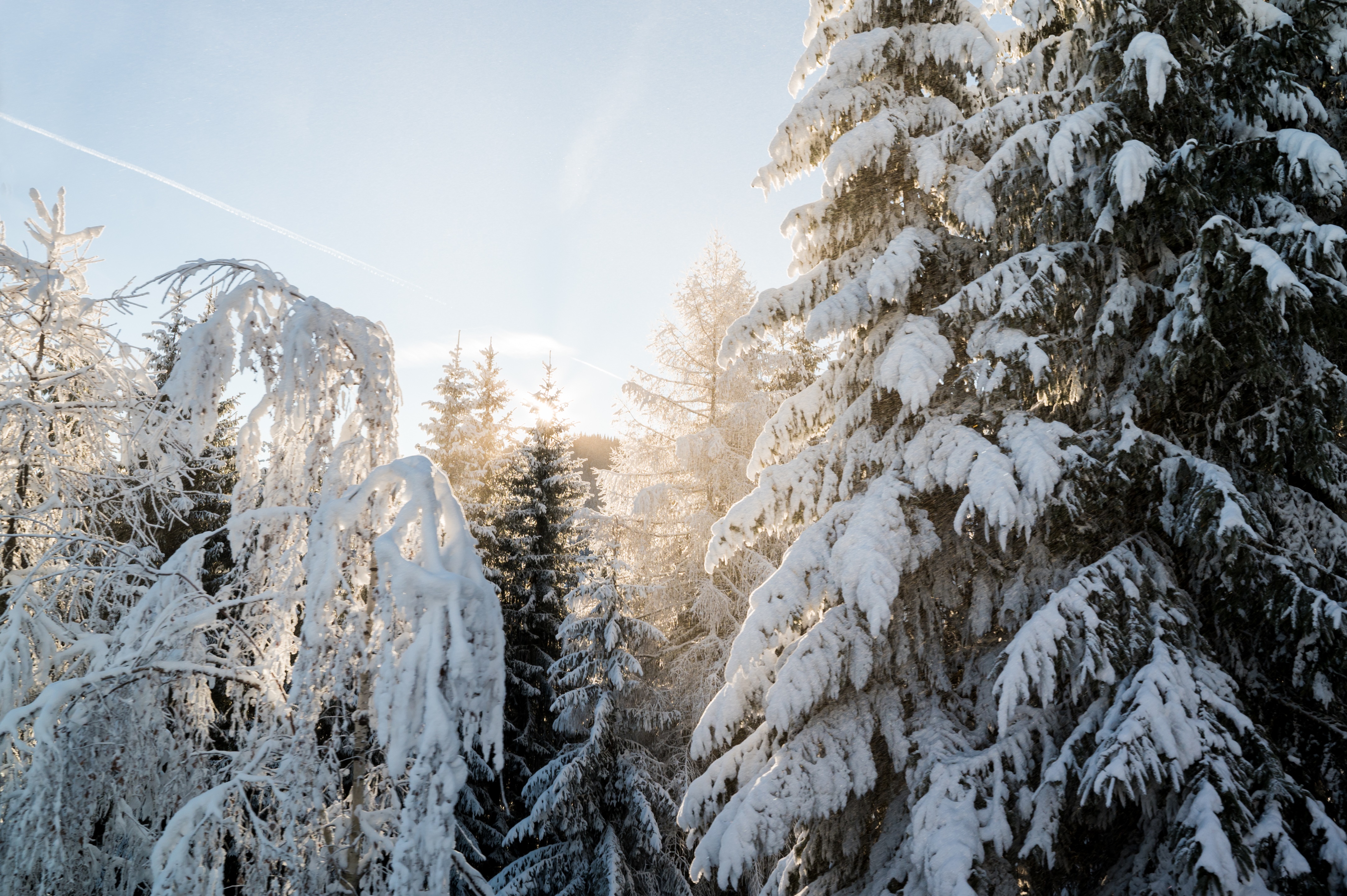 Winter_Sonne_Lichtermeer_Fotografie