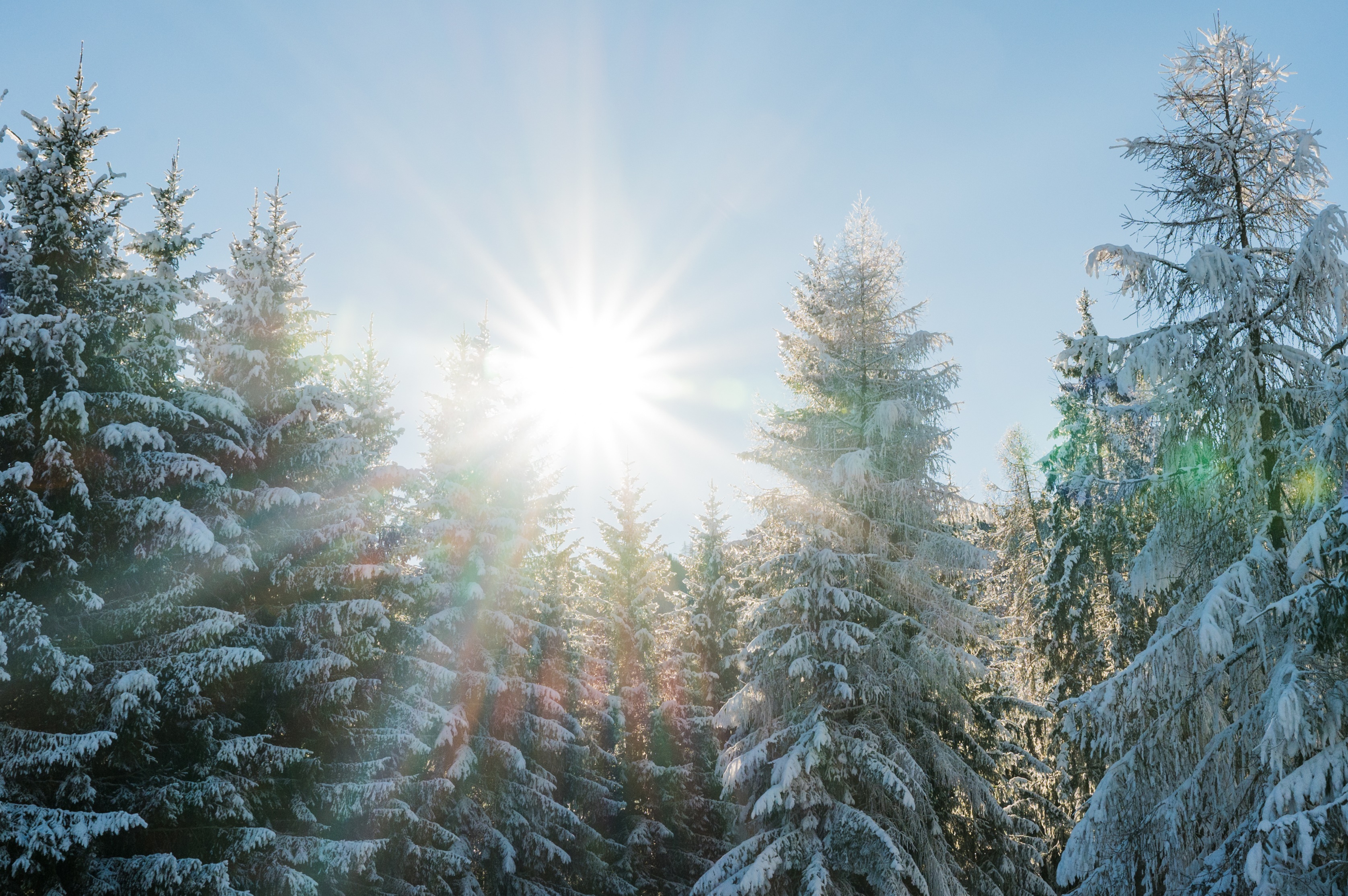 Winter_Sonne_Lichtermeer_Fotografie