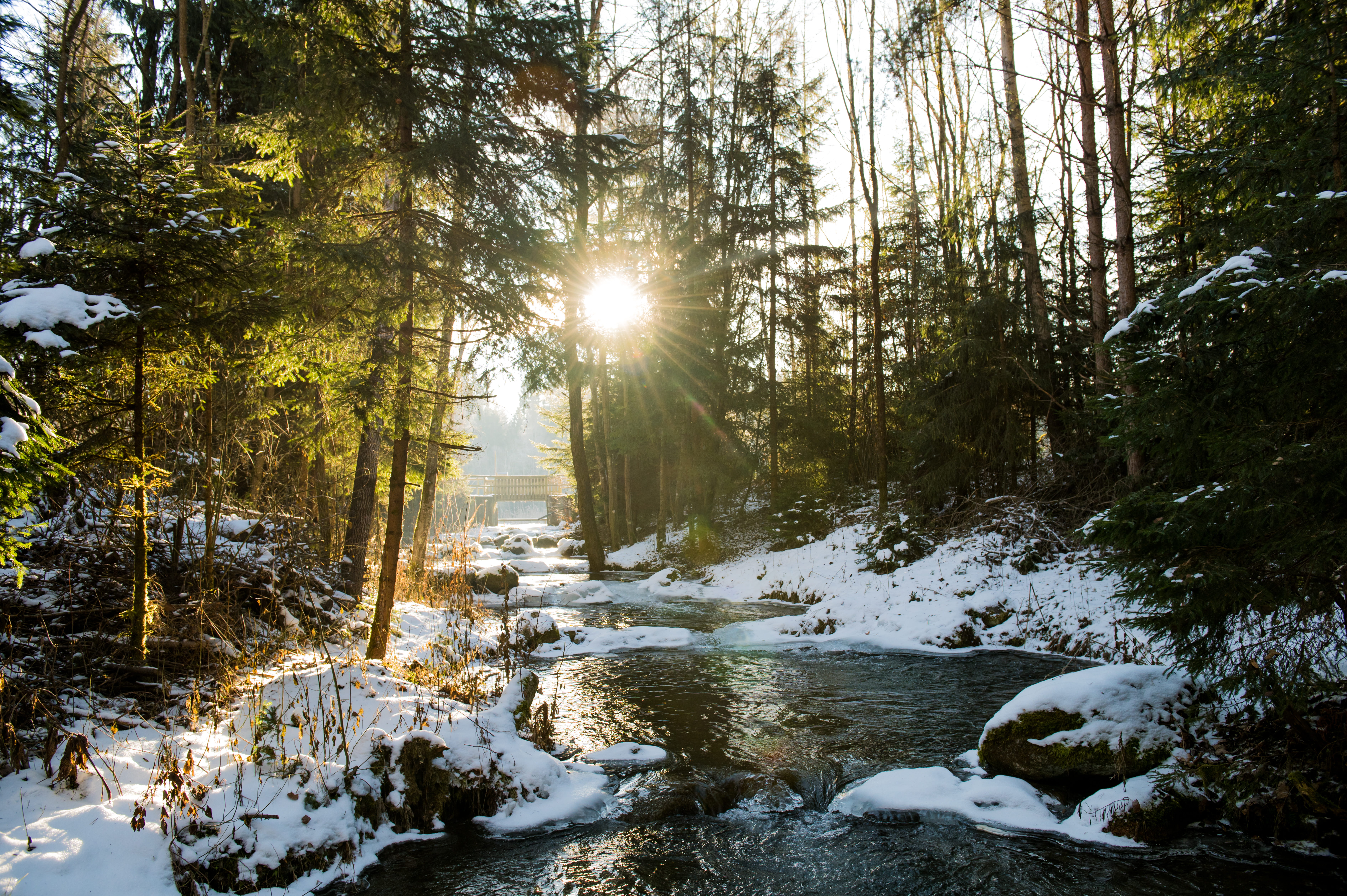 Wasser, Winter, Zeltweg, Sonne, 